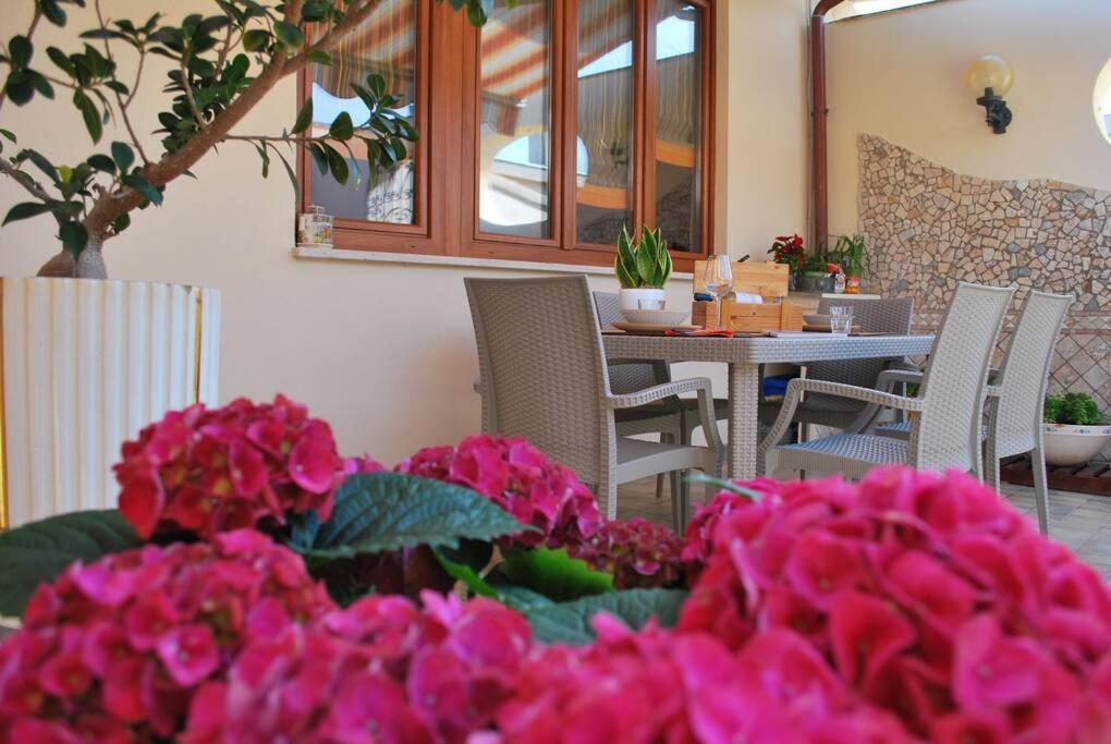 Sunny Courtyard Lägenhet Piombino Exteriör bild